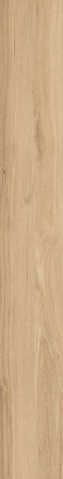 DAMA6 2015HY RM 20x150