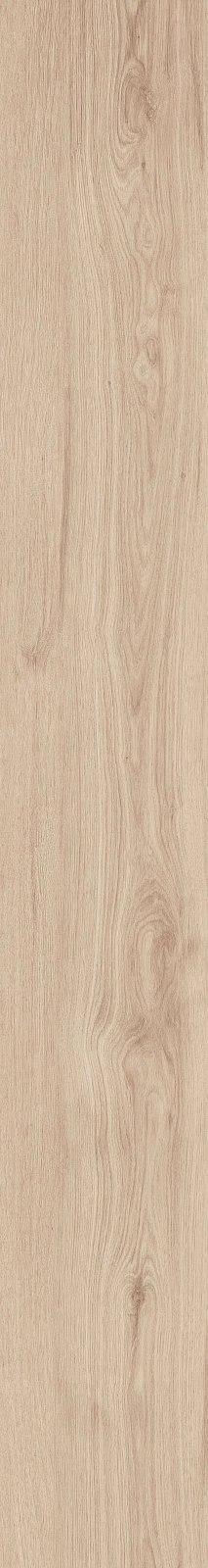 DAMA6 2015B RM 20x150