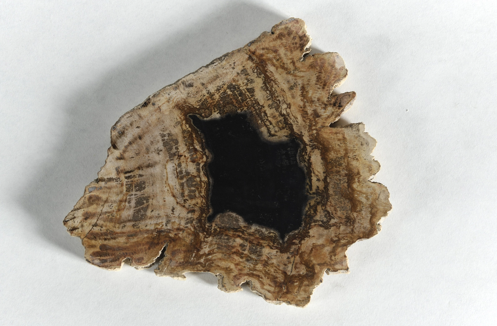 Декоративное блюдо 3P1RNS-33 22х20х2