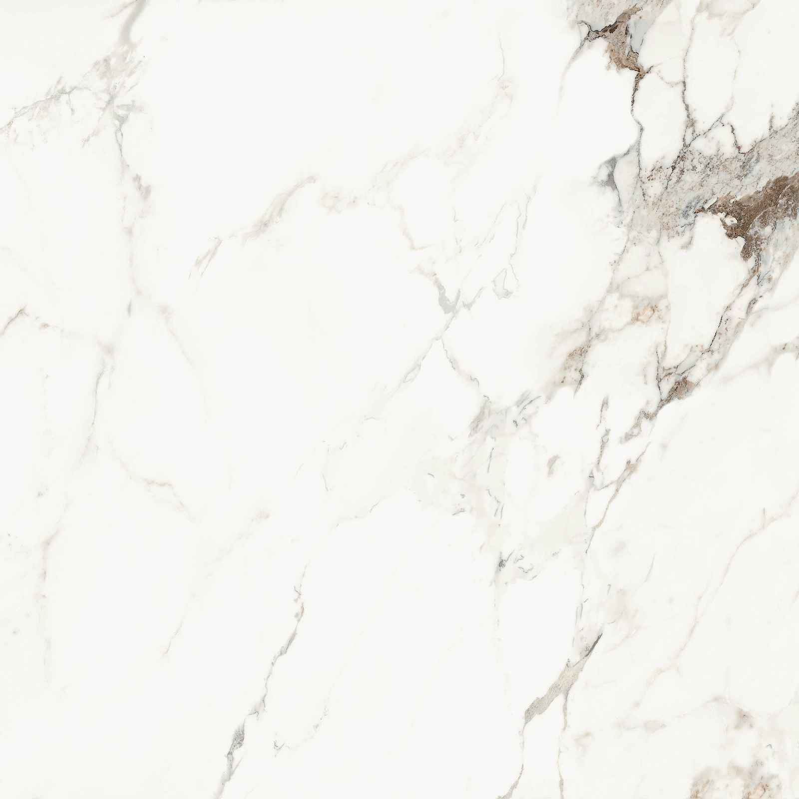 AE CAP6 120 LP 120x120