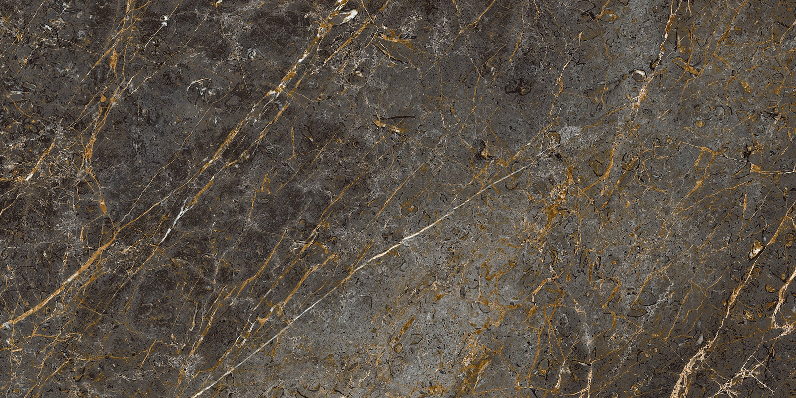 AE GOL6 12 LP 60x120