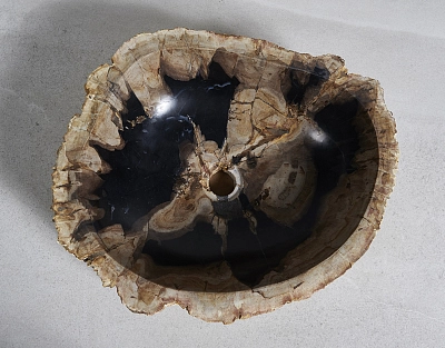 Раковина из окаменелого дерева 51х42х15