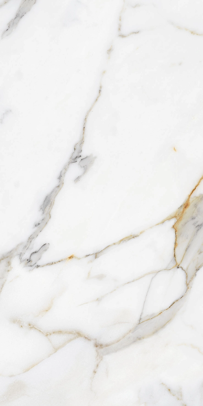 Calacatta Gold 9693 60x120