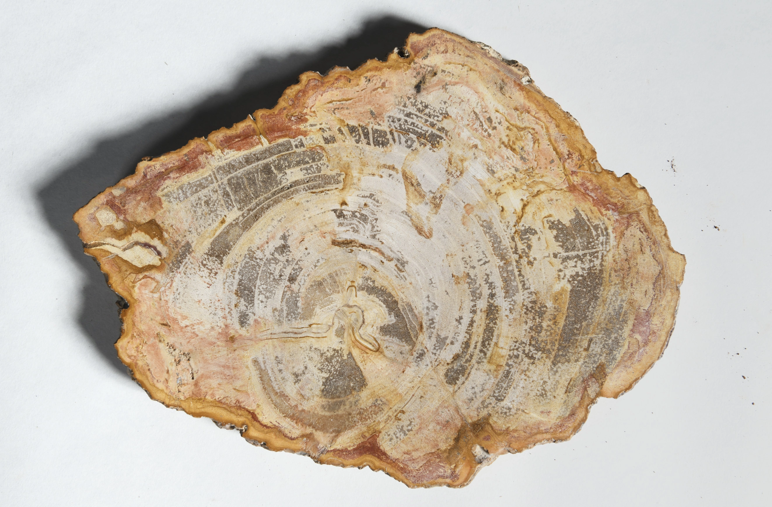 Декоративное блюдо 3P1RNM-07 32х24х2,5