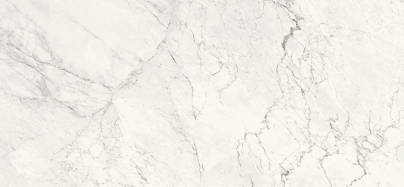 AE CAL6 260 LP 120х260