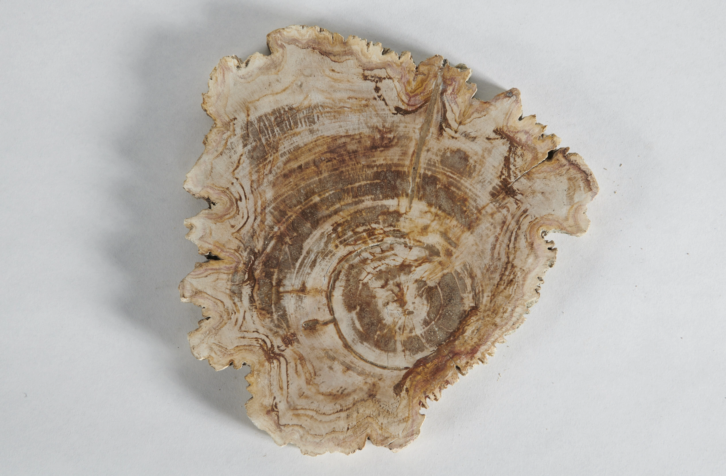 Декоративное блюдо 3P1RNM-21 25х25х2