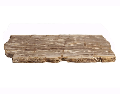 столешница для журнального столика  из окаменелого дерева 110х53х6
