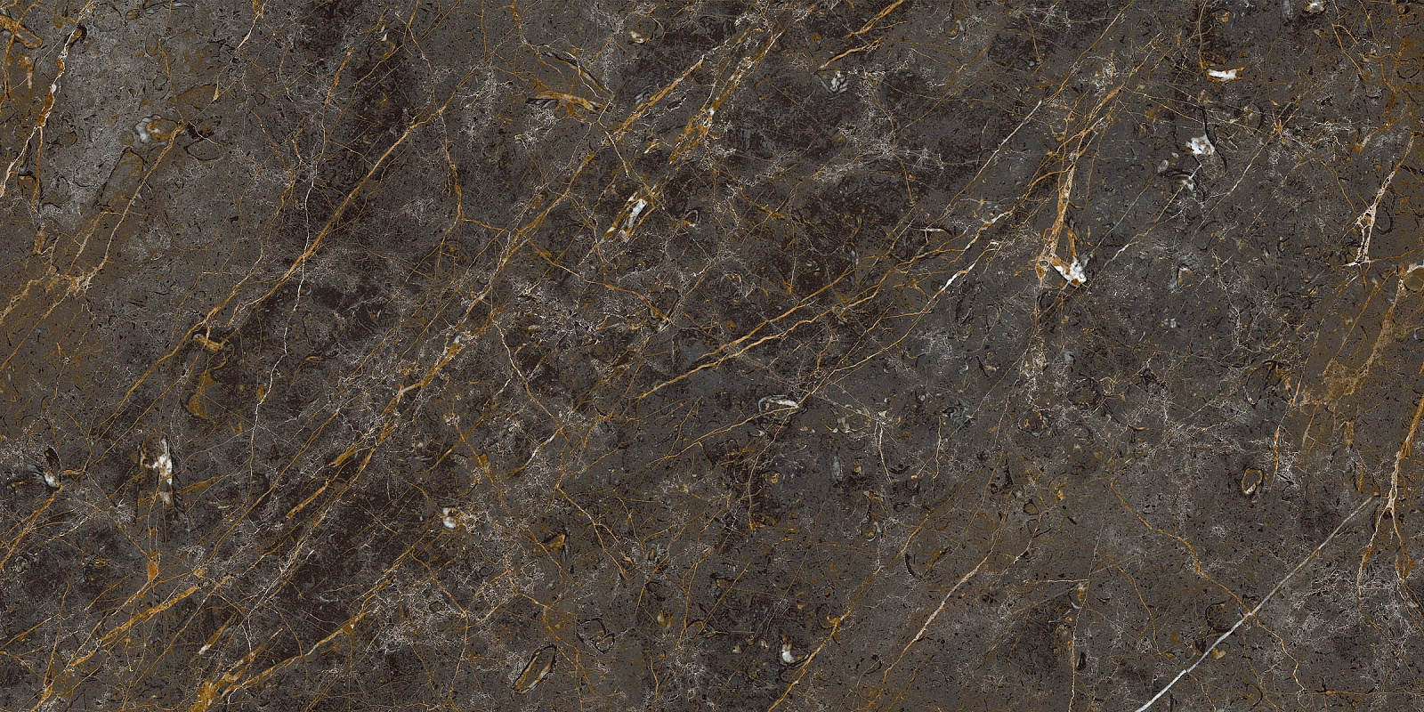 AE GOL6 12 LP 60x120