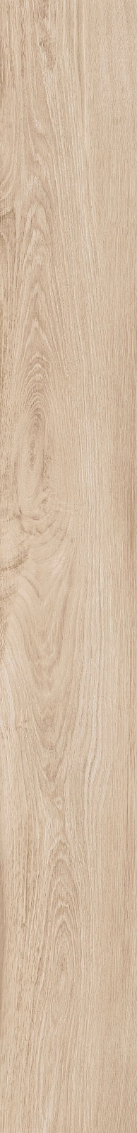 DAMA6 2015B RM 20x150