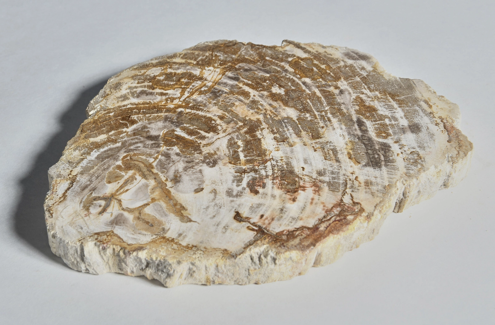 Декоративное блюдо 3P1RNM-24 28х22х2