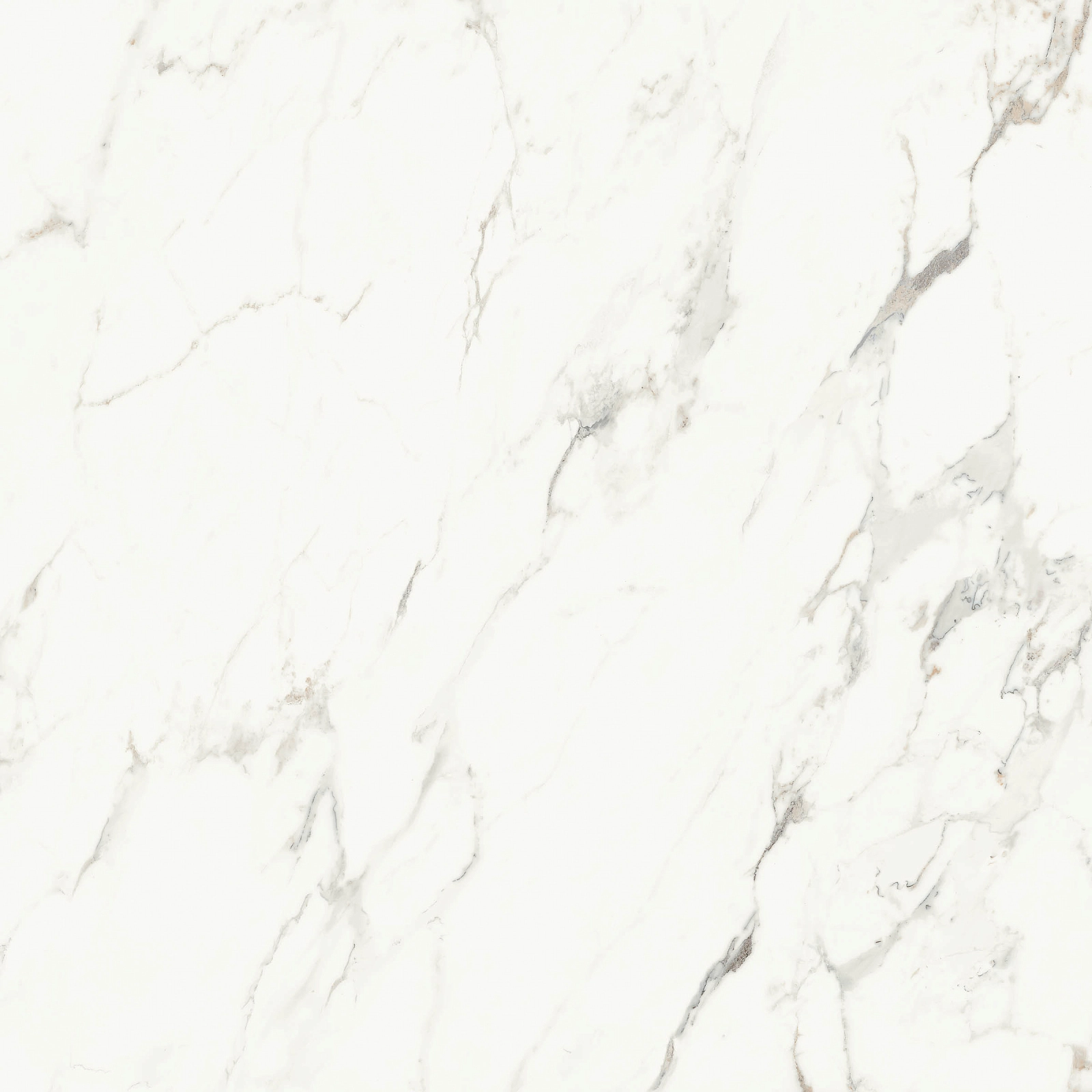 AE CAP6 120 LP 120x120