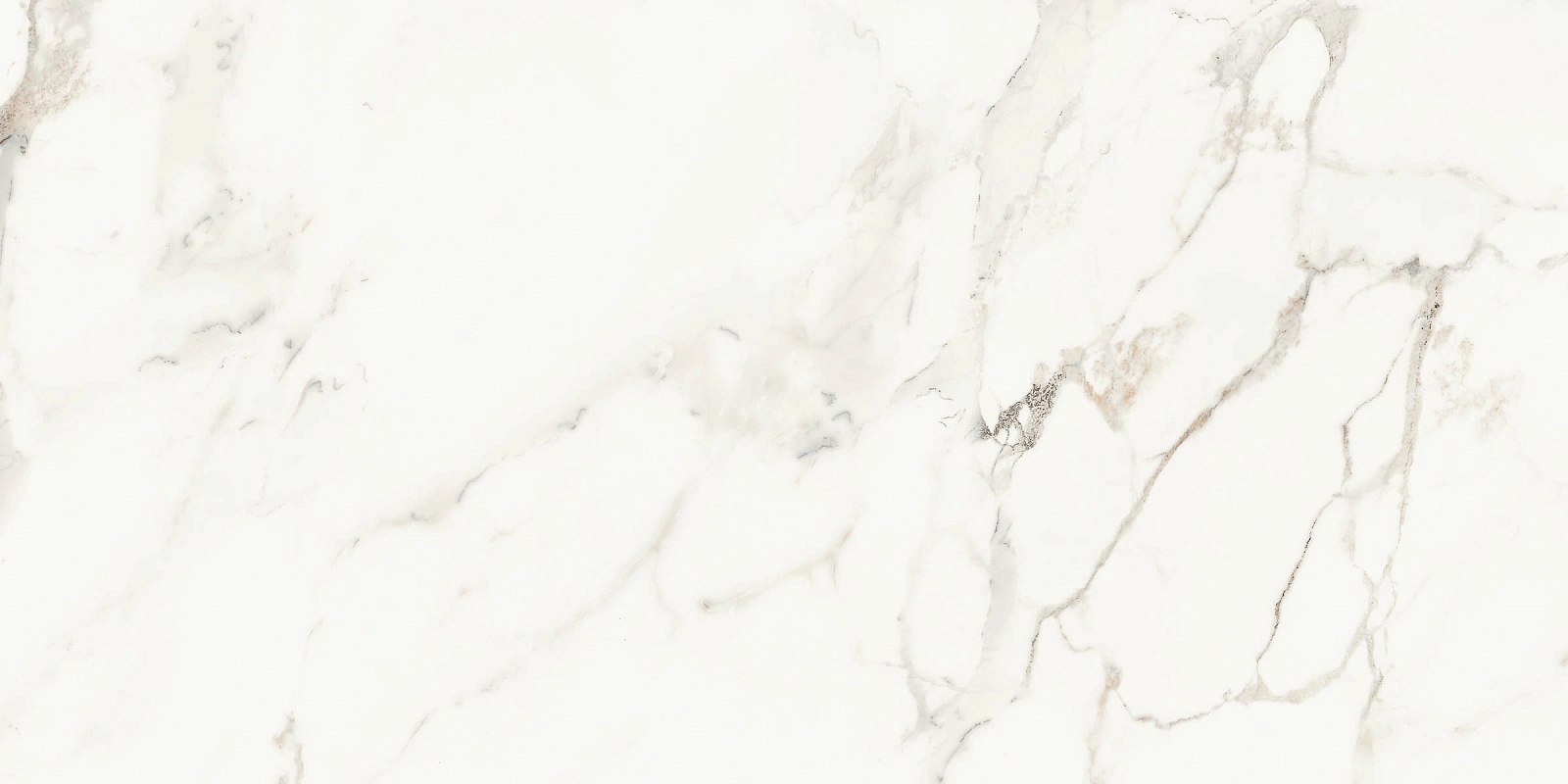 AE CAP6 12 LP 60x120