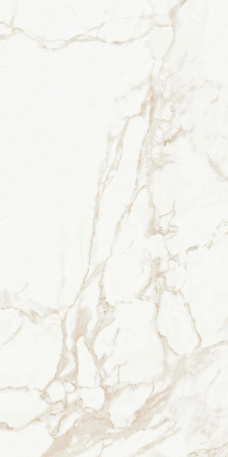 Marmo Calacatta Polished 9128 60x120