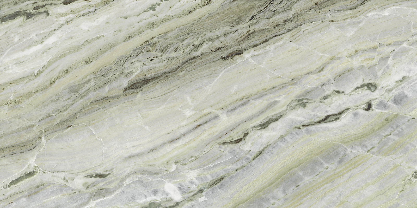 AE VER6 12 LP 60x120