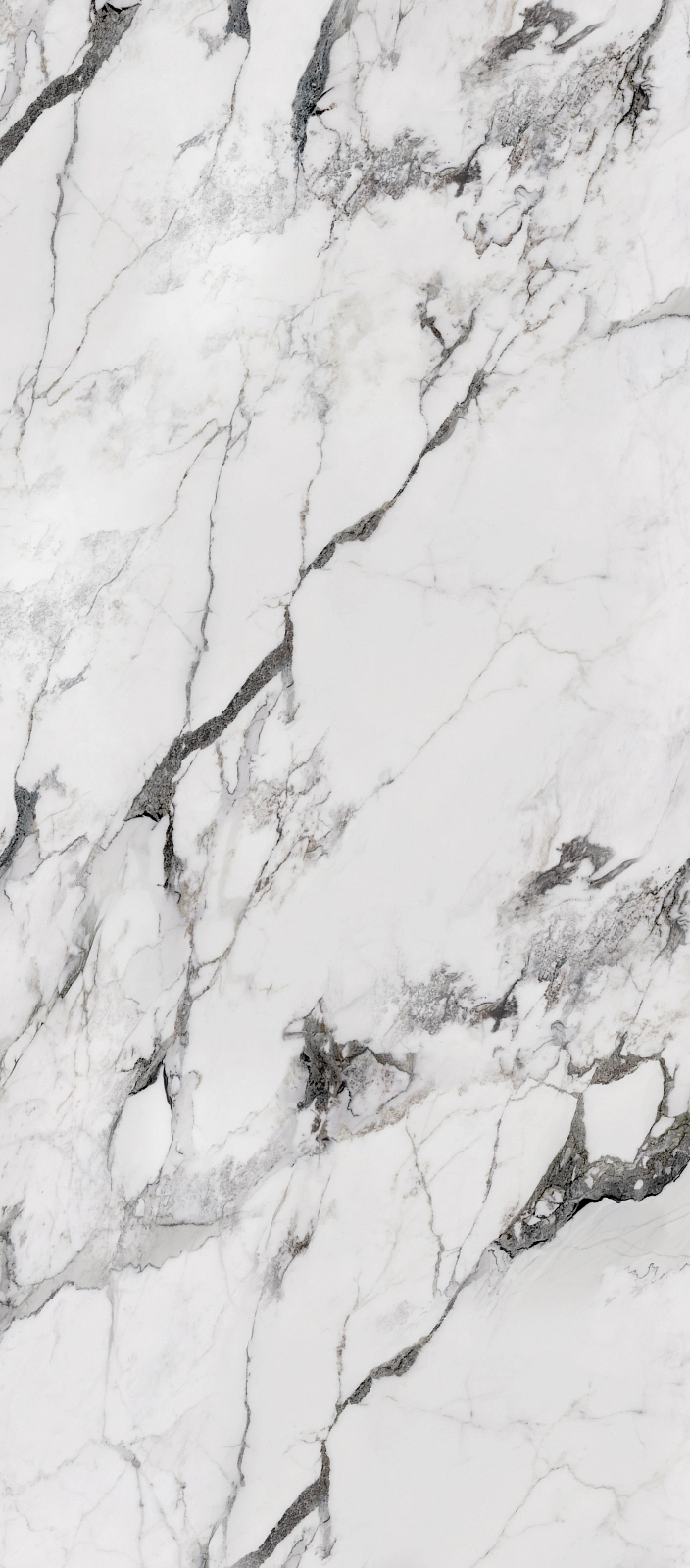 72100 Arabescato Matt 120x240