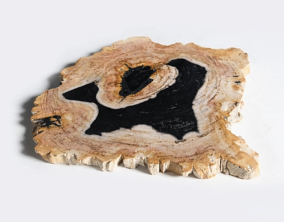 столешница для кофейного столика  из окаменелого дерева 32х35х2