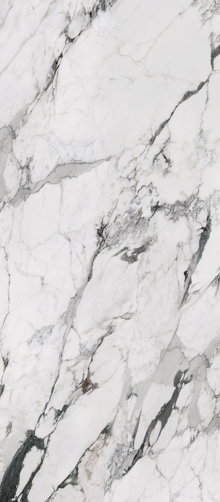 72100 Arabescato Matt 120x240